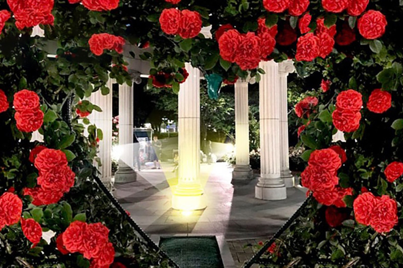 Công viên hoa hồng Olympic Hàn Quốc