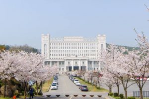 Con đường hoa mộc lan