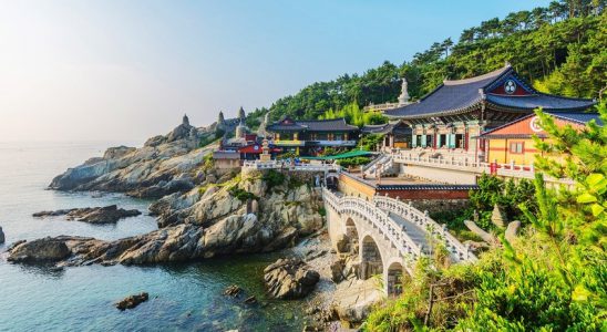 Thời tiết du lịch Hàn Quốc tháng 6 cực đẹp