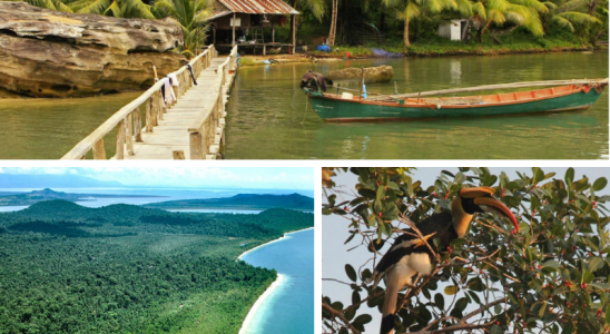 Vườn quốc gia với nhiều hệ động thực vật