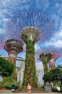 Tham quan khu vườn Gardens By The Bay