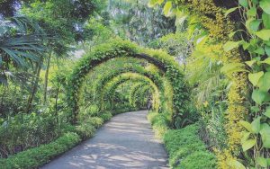 Khu tropics