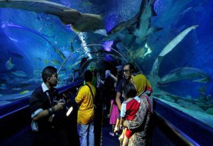 Thuỷ Cung Aquaria KLCC